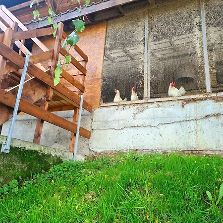 Campingplads Barn-Nature Hoellhof Adventure With Panoramic View Outdoor -Near Lucerne *