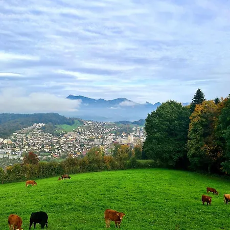 Campingplads Barn-Nature Hoellhof Adventure With Panoramic View Outdoor -Near Lucerne