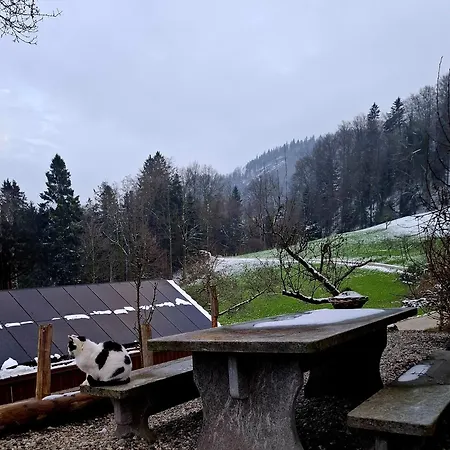 Barn-Nature Hoellhof Adventure With Panoramic View Outdoor -Near Lucerne * Luzern