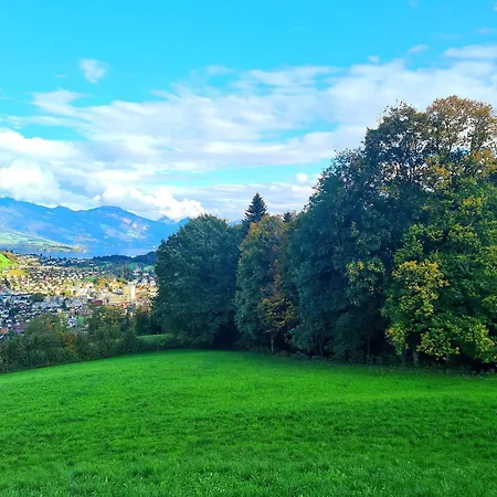 Barn-Nature Hoellhof Adventure With Panoramic View Outdoor -Near Lucerne