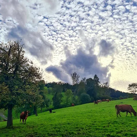 Barn-Nature Hoellhof Adventure With Panoramic View Outdoor -Near Lucerne * Luzern