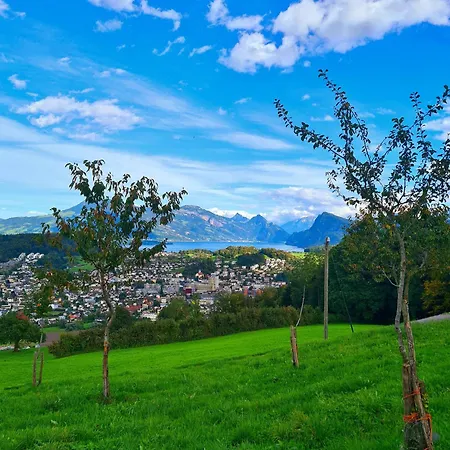Barn-Nature Hoellhof Adventure With Panoramic View Outdoor -Near Lucerne