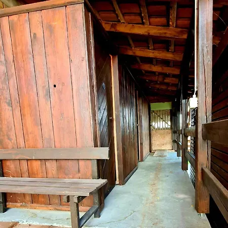 Campingplads Barn-Nature Hoellhof Adventure With Panoramic View Outdoor -Near Lucerne *