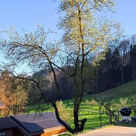 Barn-Nature Hoellhof Adventure With Panoramic View Outdoor -Near Lucerne